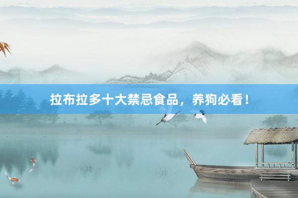 拉布拉多十大禁忌食品，养狗必看！